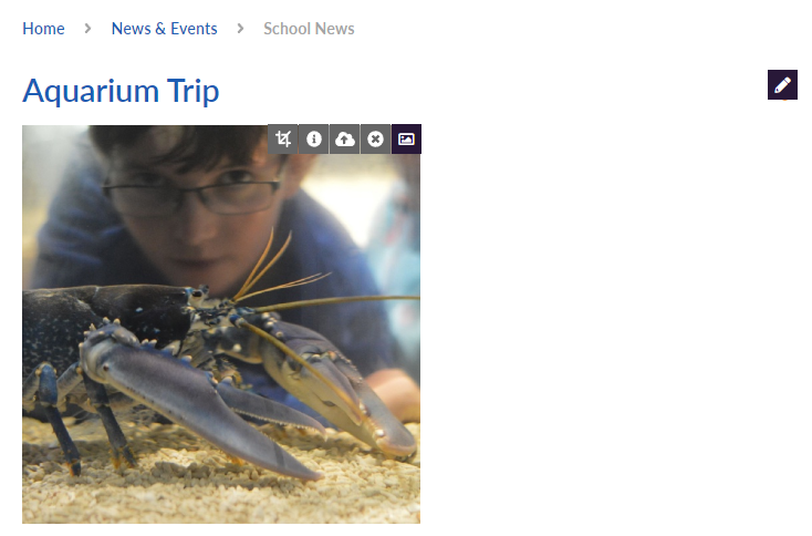 Image showing News Thumbnail options