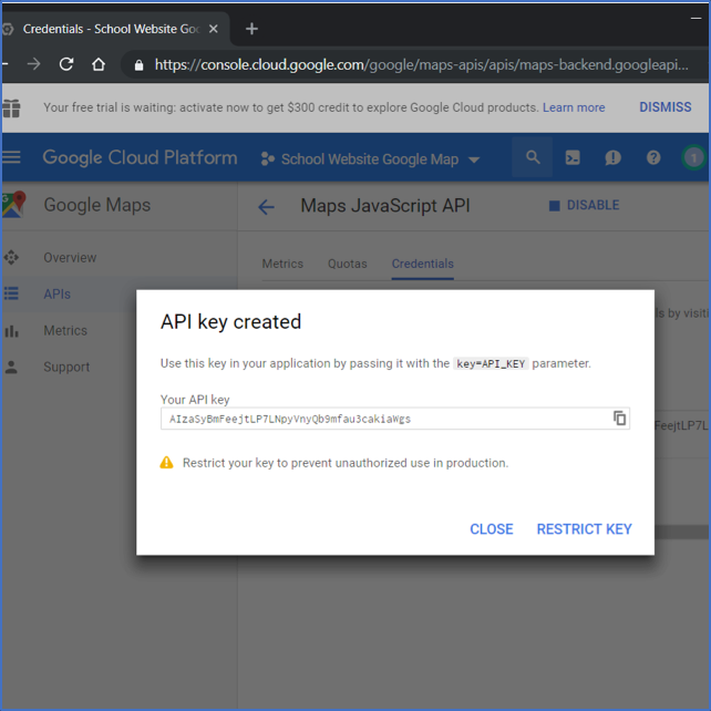 Google Map API Key Creation – Juniper Websites Help Centre